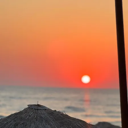 Nonta's Garden - Nature & Waves *