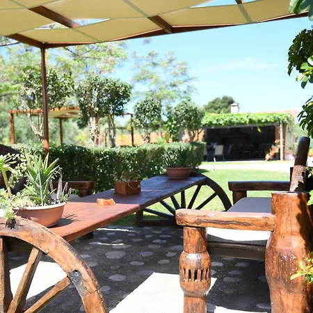 Nonta's Garden - Nature & Waves