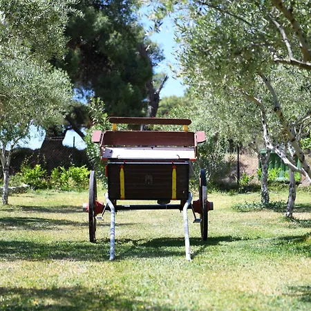 Nonta's Garden - Nature & Waves