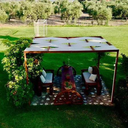 Daire Nonta's Garden - Nature & Waves