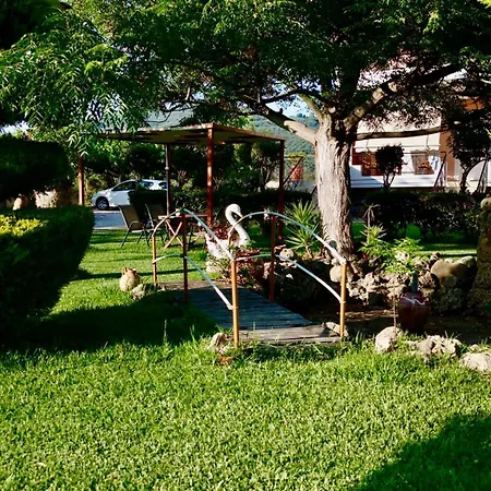 Nonta's Garden - Nature & Waves