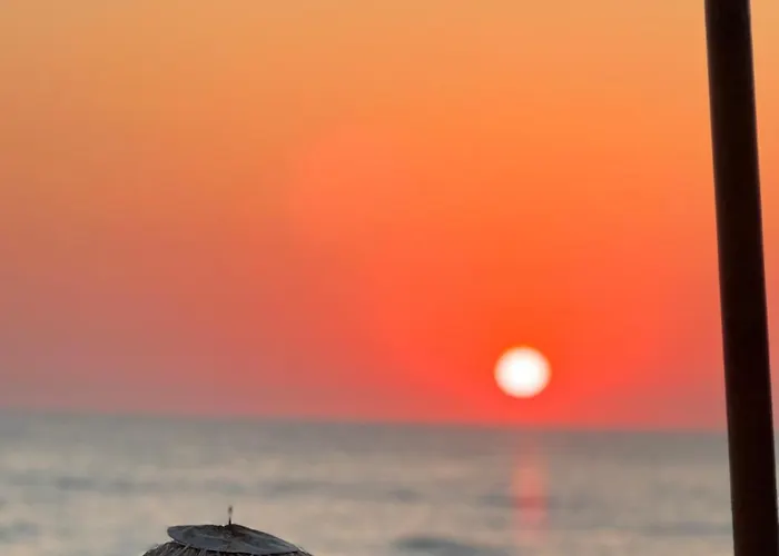 Nonta's Garden - Nature & Waves *