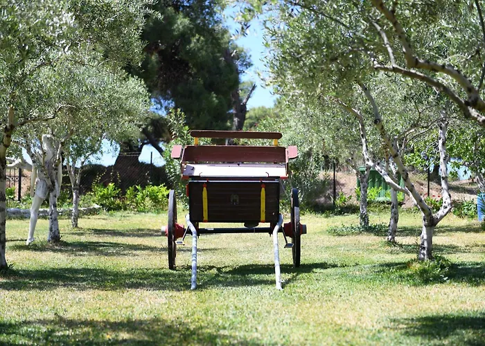 Nonta's Garden - Nature & Waves