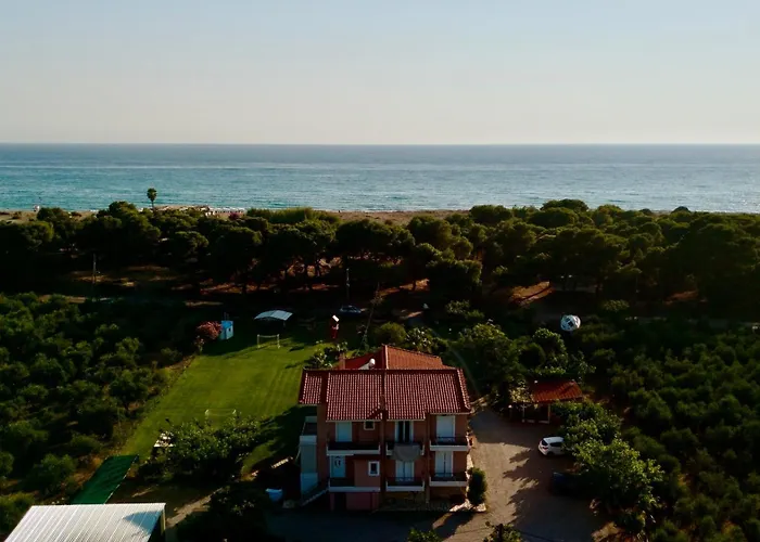 Nonta's Garden - Nature & Waves